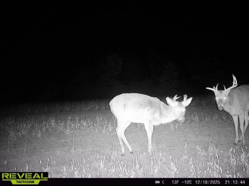 865814042165447-100-1-12182025211344-W1001648