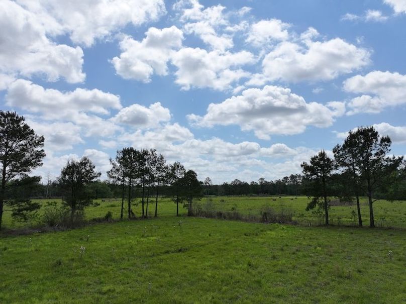 dji_fly_20260414_101714_0067_1776201098289_photo