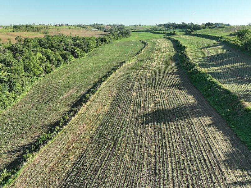 dji_fly_20260601_080440_532_1780319426018_photo