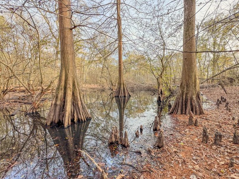 St. Francis 216.9 Calvin Parker Farms Profile -44