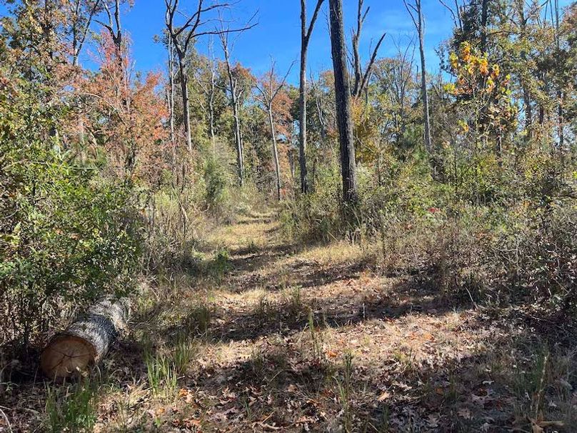 jeff 5020251111_0324