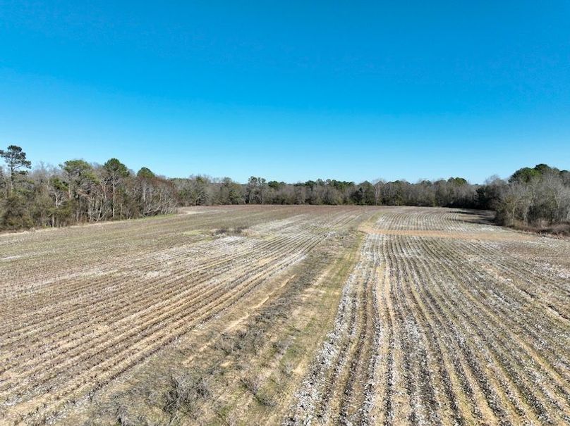 dji_fly_20260115_143842_125_1768507070222_photo