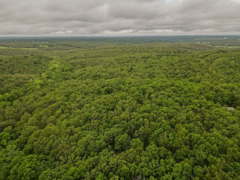 dji_fly_20260519_172650_472_1779229625471_photo