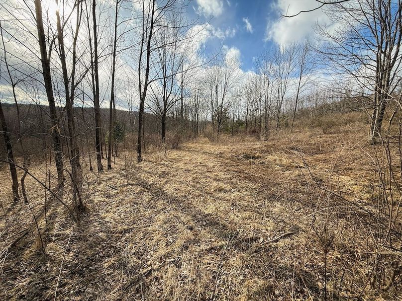 Chemung_59.65_Kocsis_photos_12