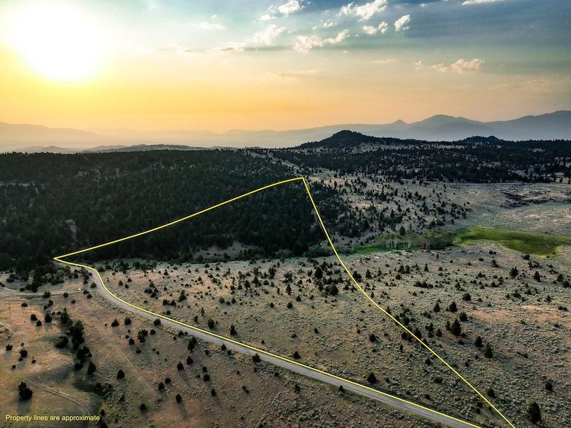 wide3 Property lines yellow