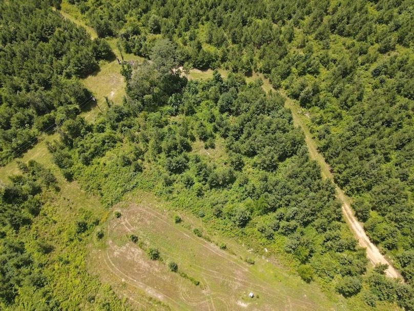 DJI_0367