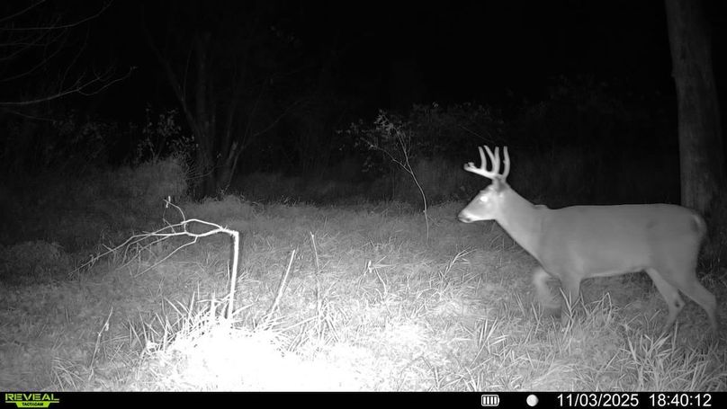 016579008159910-100-4-11032025184012-SYFW00314