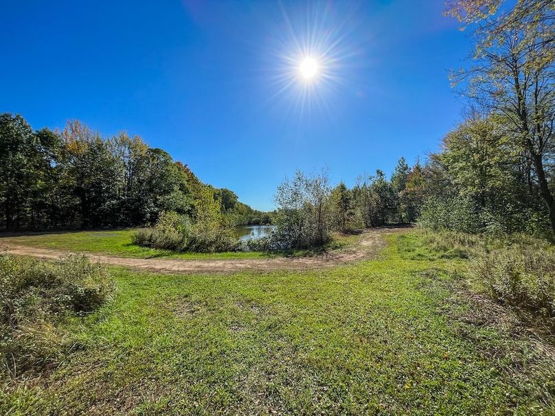 Wood 41.451, Collins -32