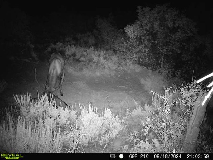 860516060007964-100-2-08182024210358-V-W1003196