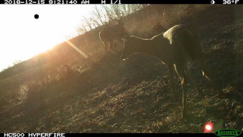 2018-12-15 09-21-40 M 1_1