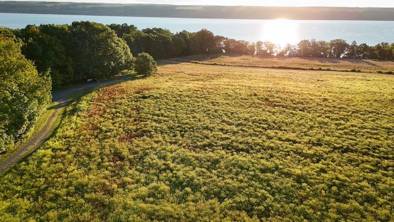 Seneca_65_Engels Photo 58