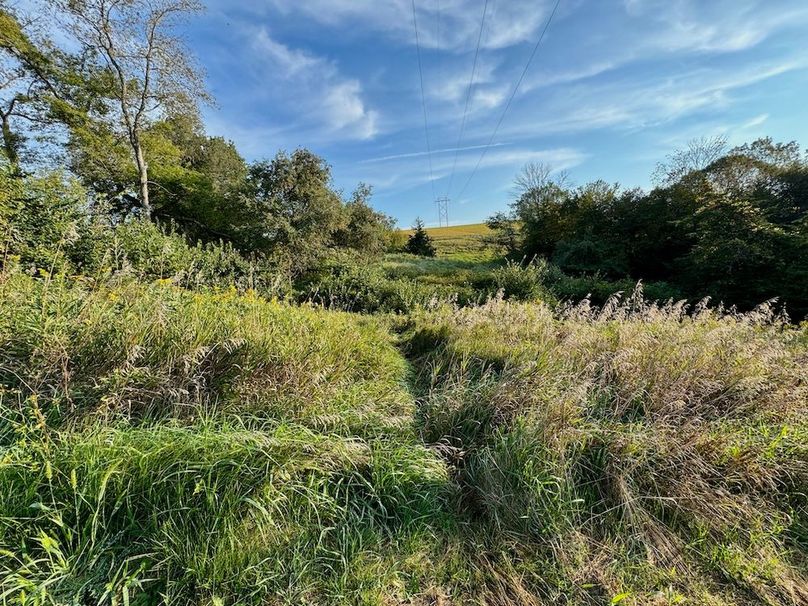 Richland 199Ground - 28