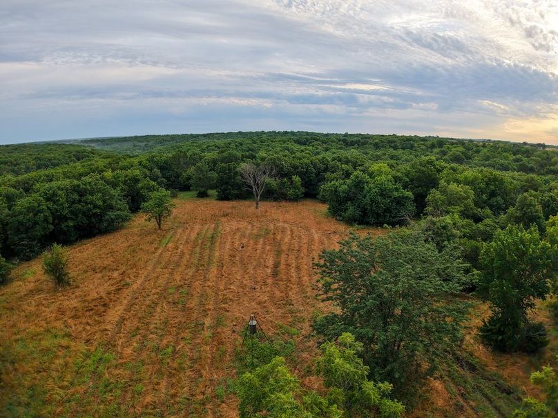 DJI_20250630063812_0254_D
