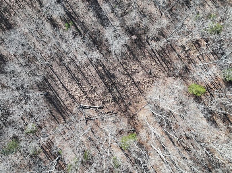 DJI_20251219114158_0899_D