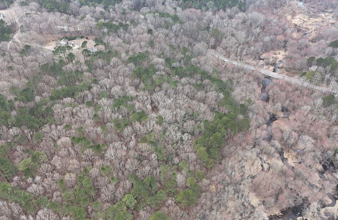 dji_fly_20260225_113208_0117_1772037654698_photo