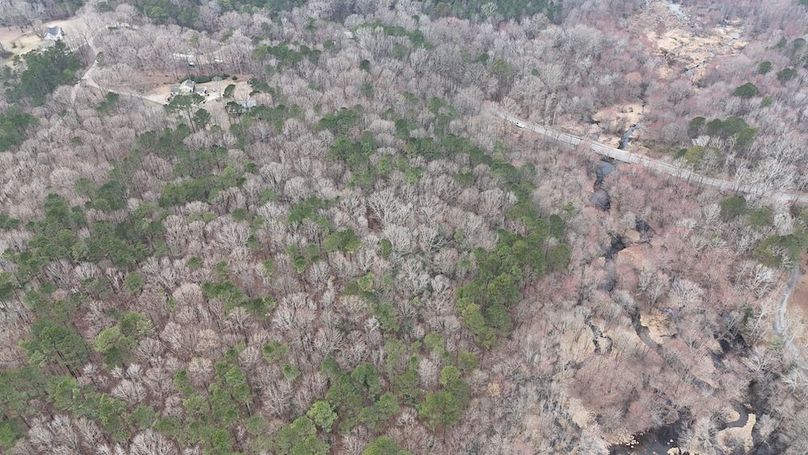 dji_fly_20260225_113208_0117_1772037654698_photo