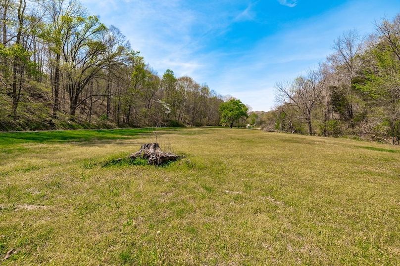 100-web-or-mls-0 Mound Creek Rd-70