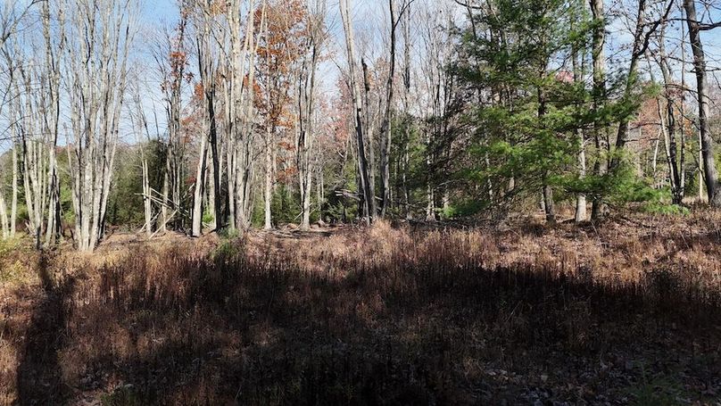 DJI_20251105104954_0025_D