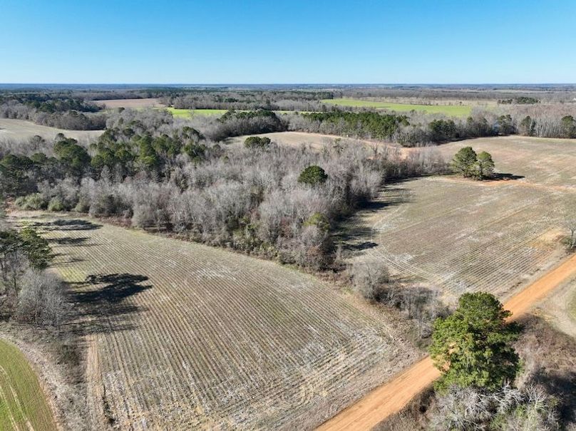 dji_fly_20260115_144234_135_1768507034760_photo