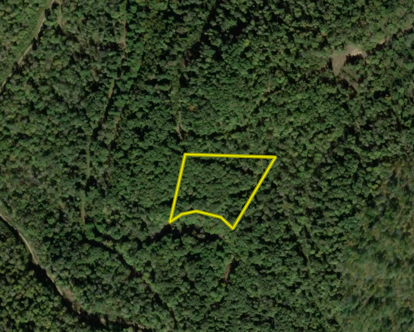 Screen Shot 2023-12-04 at 12.58.27 PM