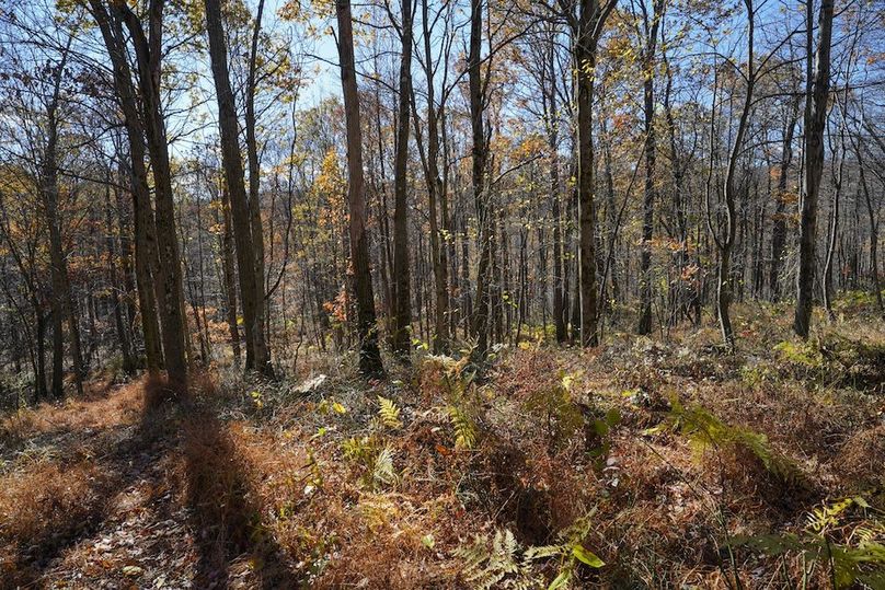 Somerset, 10.91, Tinkey-41