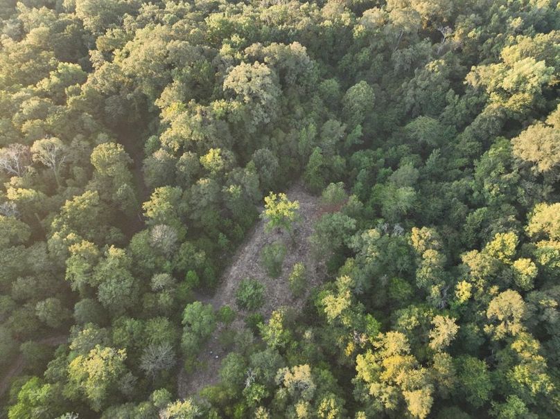 dji_fly_20250909_072610_192_1757426909221_photo