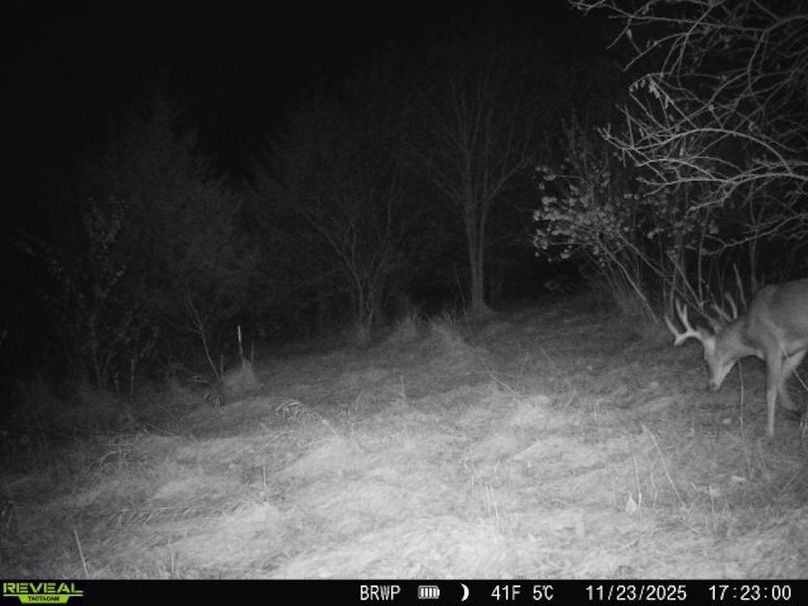 860322065924133-100-4-11232025172300-W1001315