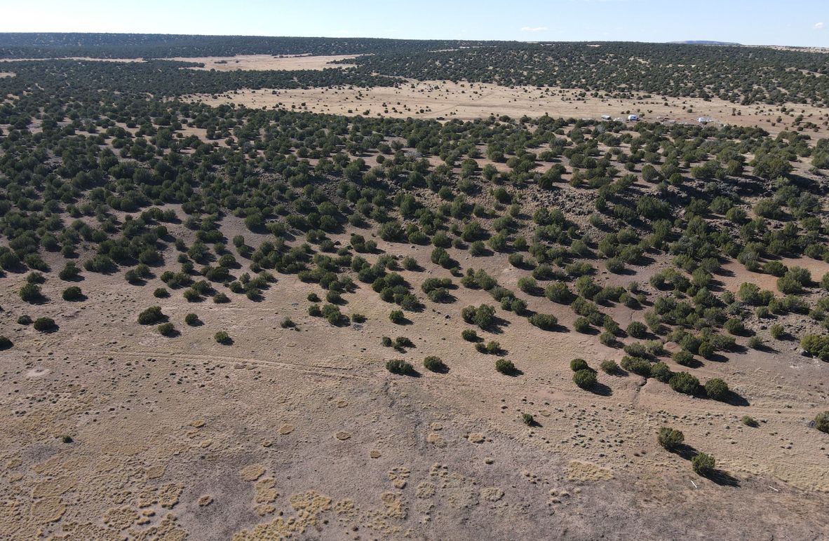 dji_fly_20231027_142144_131_1698441860975_photo