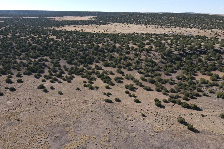 dji_fly_20231027_142144_131_1698441860975_photo