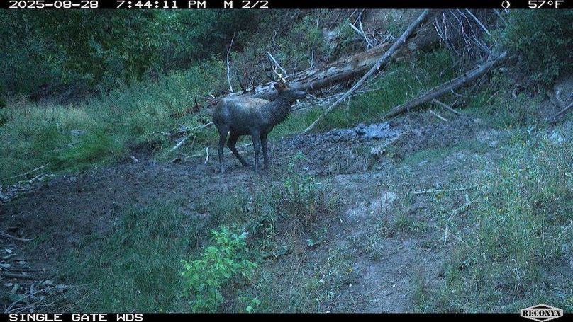 A7122EBC-EB2C-4994-9DA0-B377C2EACEDF