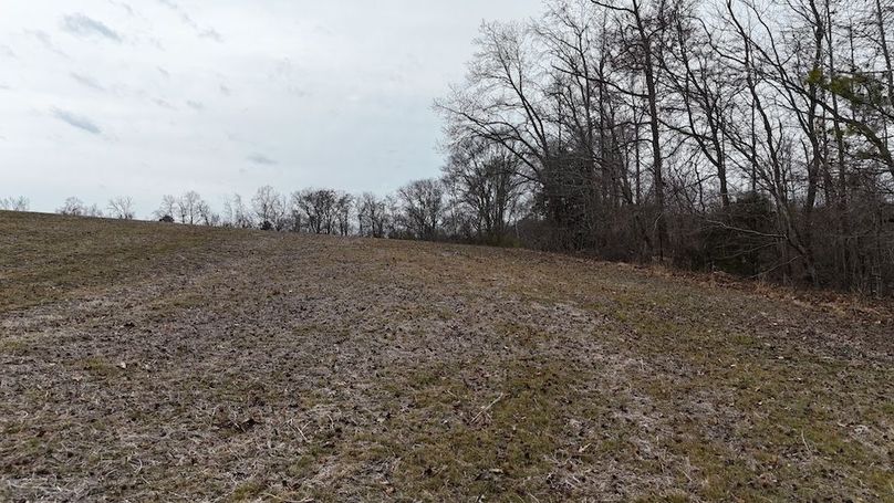 dji_fly_20260218_164520_0031_1771452056421_photo