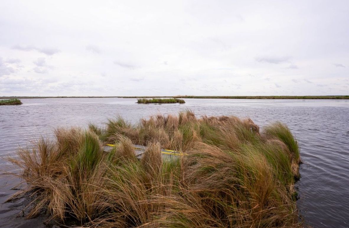 Cameron Parish LA 3,556 Pro Photo-63