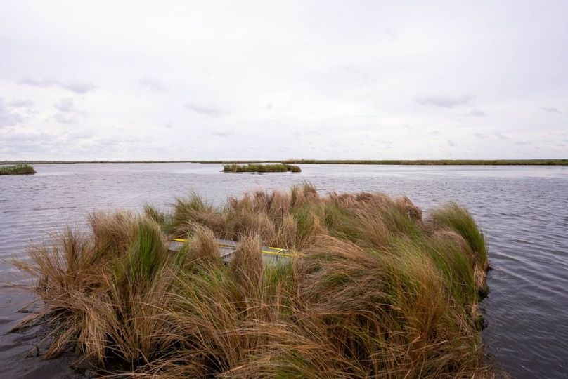 Cameron Parish LA 3,556 Pro Photo-63