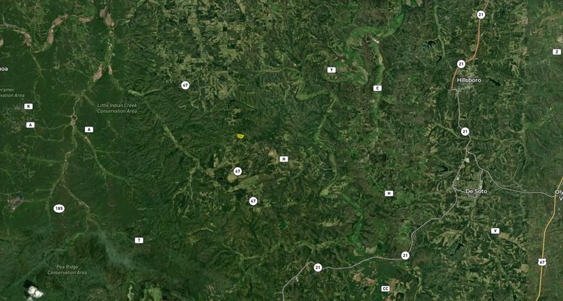 Screenshot 2026-03-03 at 7.17.11 PM