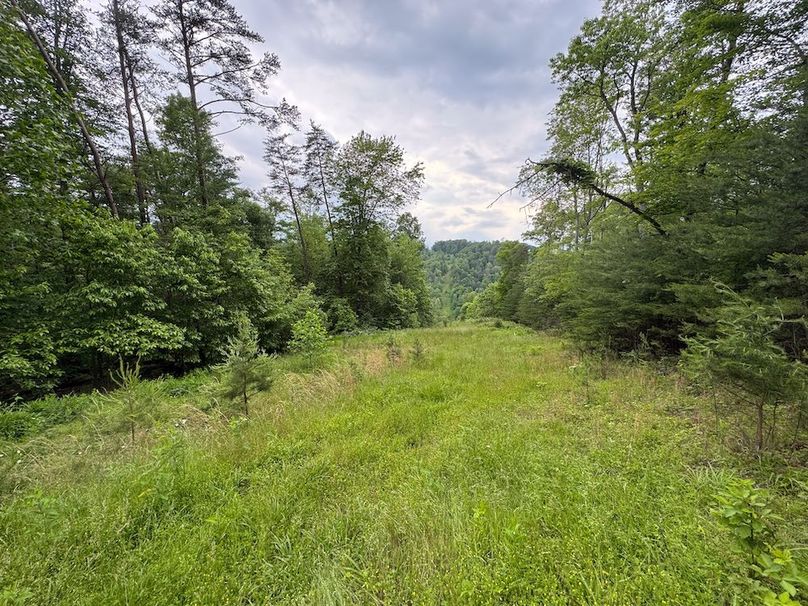 Tyler, WV 313.87 AC -25