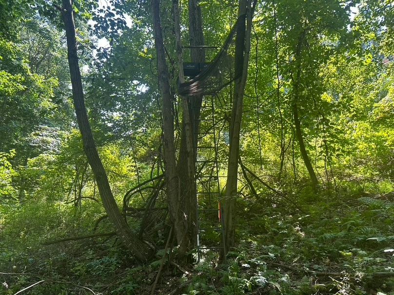 B32B15FC-DA5A-4E85-852E-094BE6637EF6_1_105_c