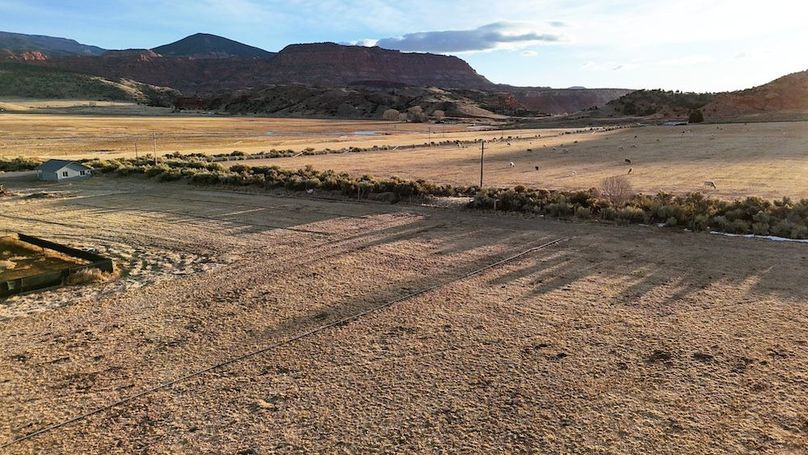 DJI_20250322080227_0196_D