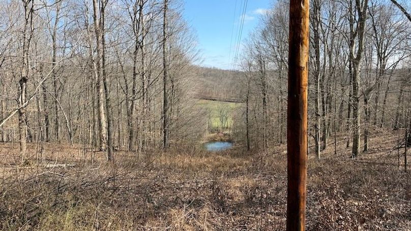 Butler 118 Capella14