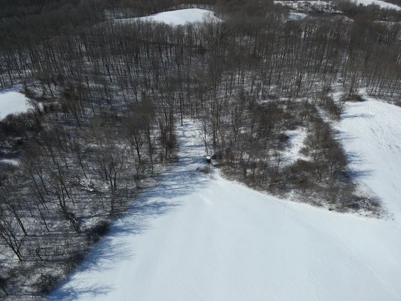 DJI_20260207115534_0016_W