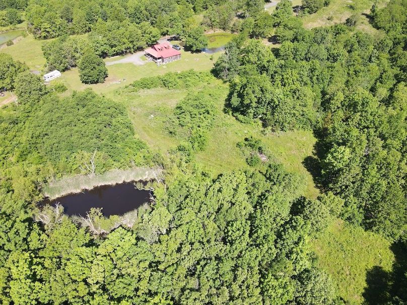 dji_fly_20240509_101022_82_1715267446207_photo