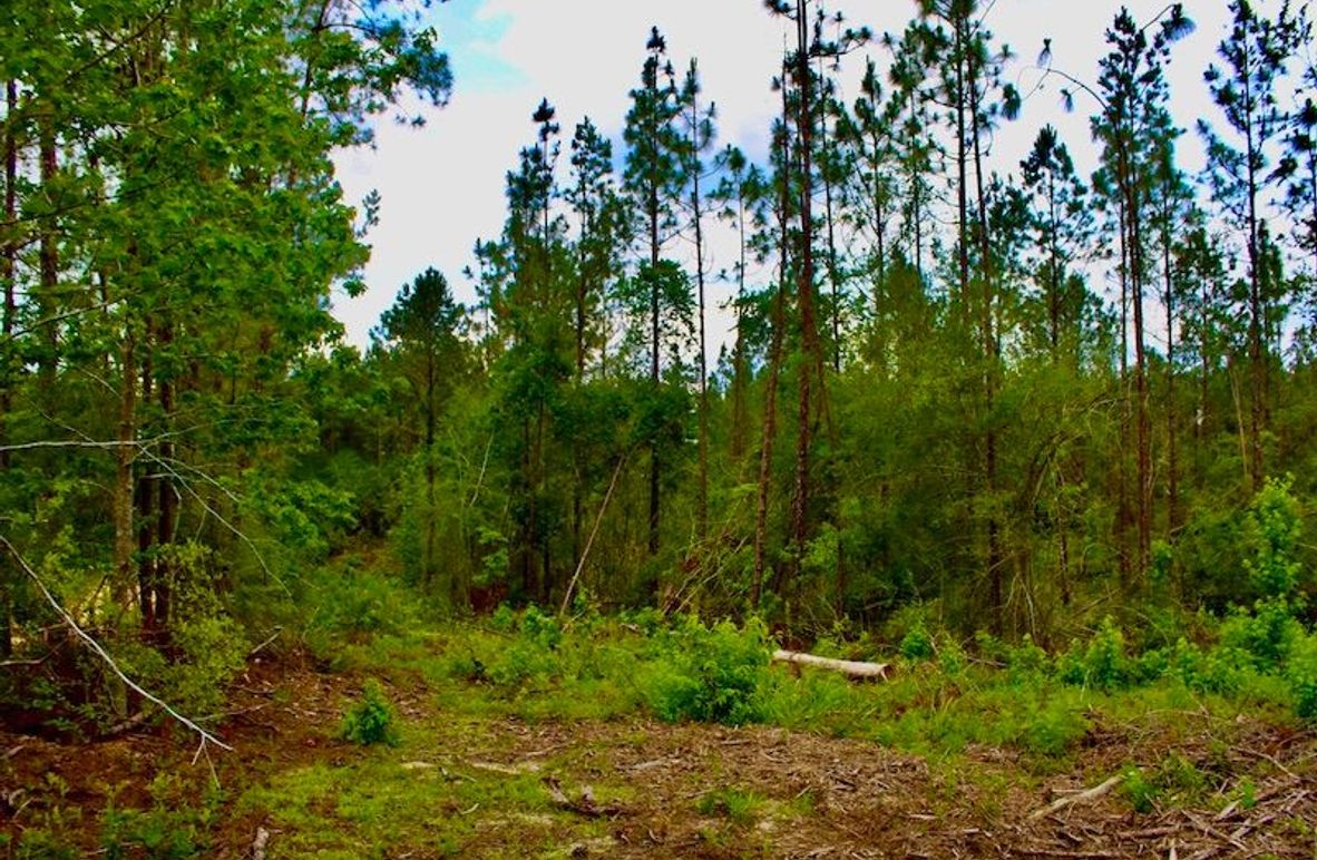 3F9D0E00-162A-4605-AD50-748502F34755_1_105_c