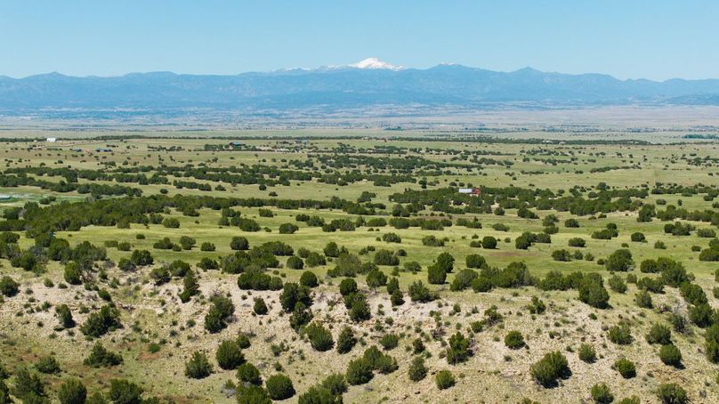 DJI_20240605161725_0007_D