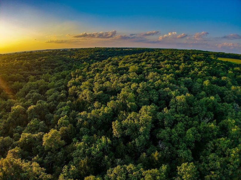 DJI_20260531200334_0263_D