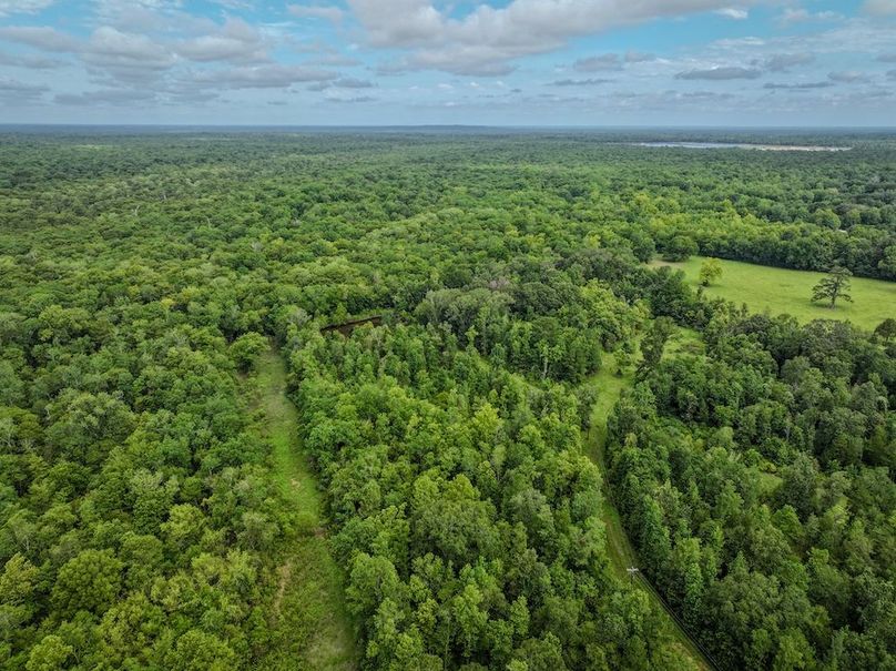 Copy of DJI_20240627100233_0238_D