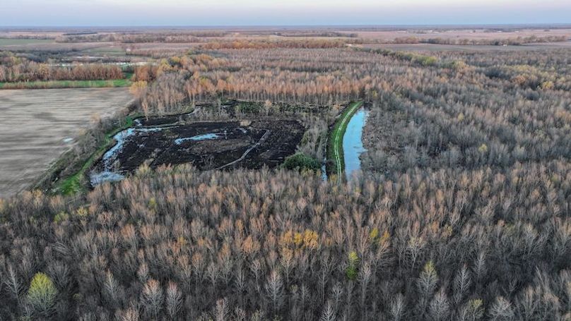 Panola 164.7 SPI Land Ventures-41