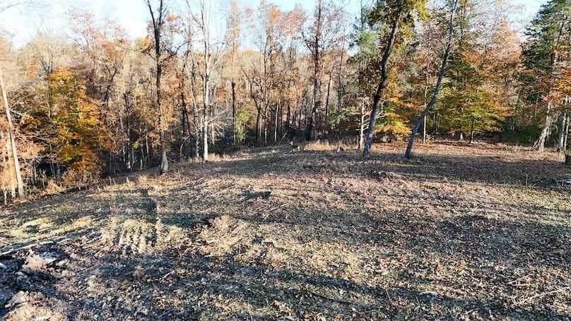 DJI_20251111154341_0037_D