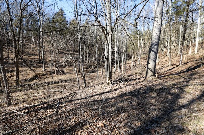 011 the west valley leading up the draw to the north