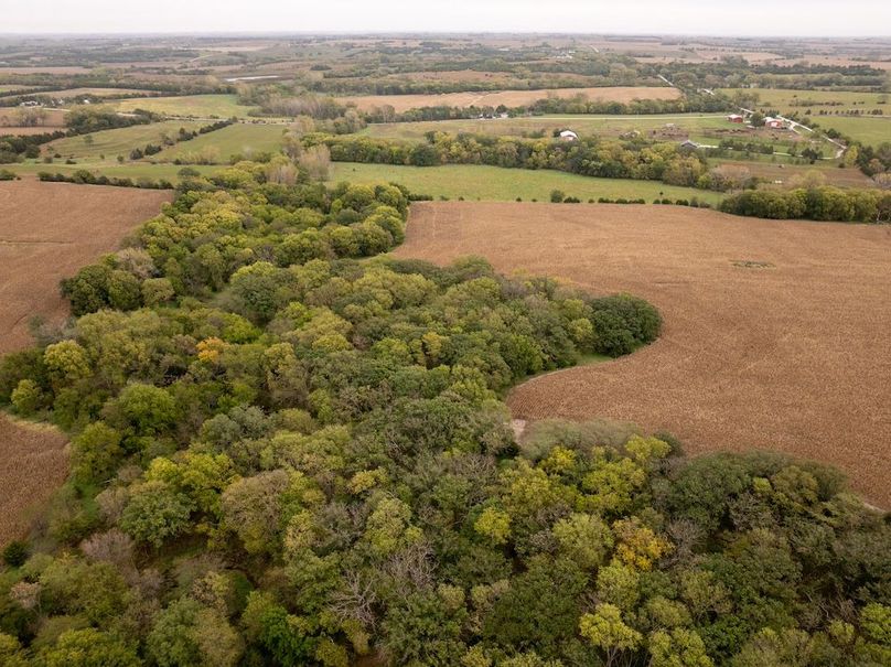 DJI_20251011101324_0113_D