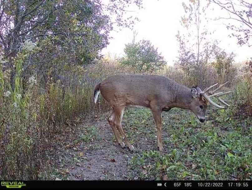 FB_IMG_1718028847477