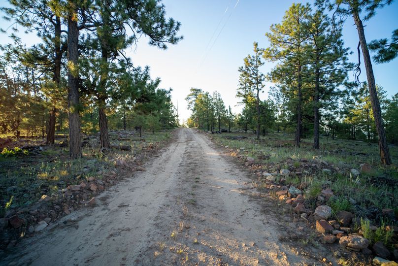 Cibola NM 13,053-05979